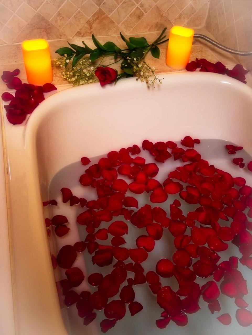 The Lion And The Rose Bed And Breakfast Ашвил Екстериор снимка